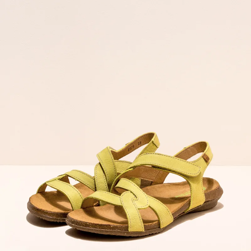 El Naturalista Wakataua N5079 slika 1